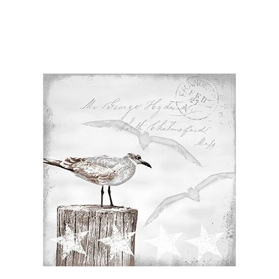 PAK338 - Pachet 20 servetele 25 x 25 cm - Ambiente - 12509115