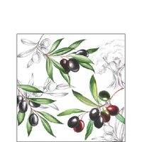 PAK370 - Pachet 20 servetele 25 x 25 cm - Ambiente - 12509770