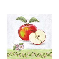 PAK367 - Pachet 20 servetele 25 x 25 cm - Ambiente - 12510160