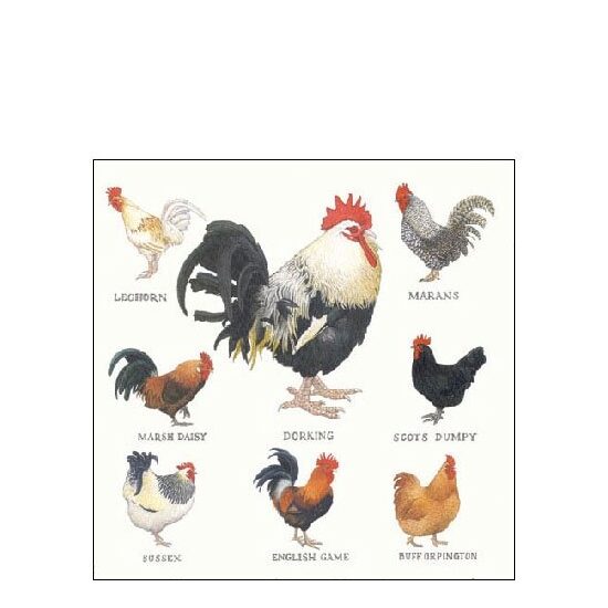 PAK375 - Pachet 20 servetele 25 x 25 cm - Ambiente - 12509860