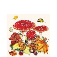 PAK316 - Pachet 20 servetele 25 x 25 cm - Ambiente - 12511025