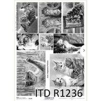 R1236 - Hartie orez A4, 25 - 30gr - ITD