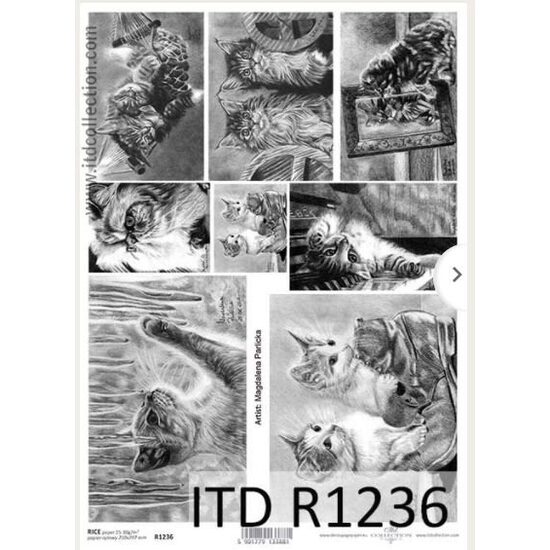 R1236 - Hartie orez A4, 25 - 30gr - ITD