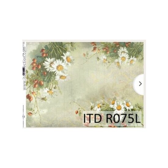 R075L - Hartie orez A3, 30 - 35gr - ITD