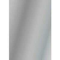 204726392 - Carton argintiu lucios 300gr, 50x70cm - Top 10 - Heyda