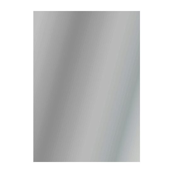 204726392 - Carton argintiu lucios 300gr, 50x70cm - Top 10 - Heyda