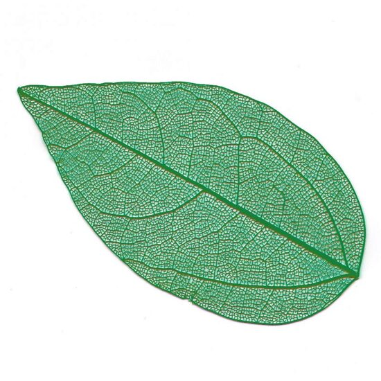 24107 - Set 10 frunze decorative verzi, 4 - 6 cm - Meyco