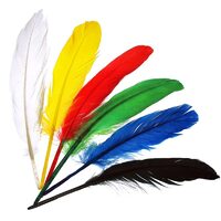 24073 - Set 20 pene multicolore indian, 14cm - Meyco