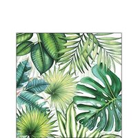 PAK19 - Pachet 20 servetele 25 x 25 cm - Ambiente - 12510940