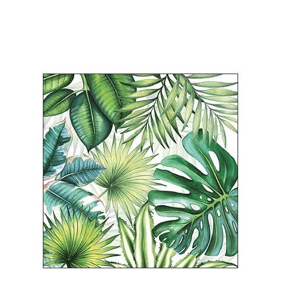 PAK19 - Pachet 20 servetele 25 x 25 cm - Ambiente - 12510940