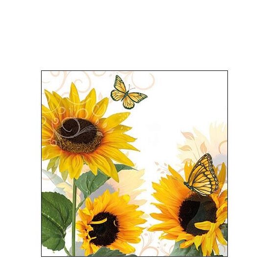PAK397 - Pachet 20 servetele 25 x 25 cm - Ambiente - 12510115