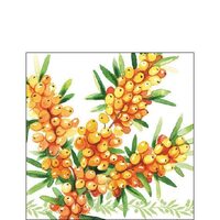 PAK111 - Pachet 20 servetele 25 x 25 cm - Ambiente - 12509965