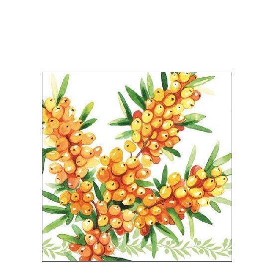 PAK111 - Pachet 20 servetele 25 x 25 cm - Ambiente - 12509965