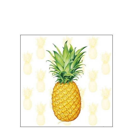 PAK130 - Pachet 20 servetele 25 x 25 cm - Ambiente - 12509530