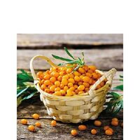 PAK403 - Pachet 20 servetele 25 x 25 cm - Ambiente - 12509970