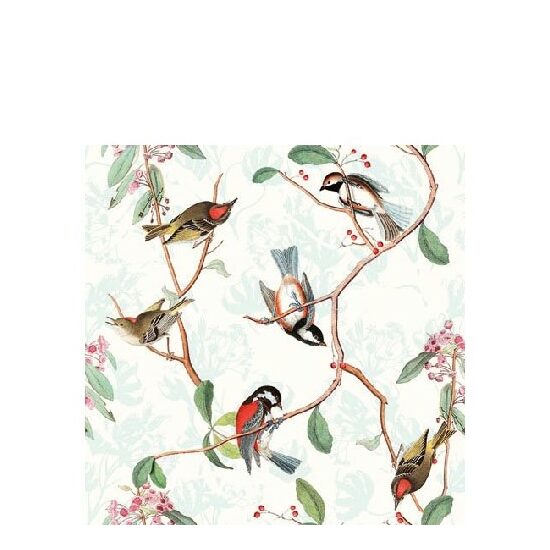PAK404 - Pachet 20 servetele 25 x 25 cm - Ambiente - 12509945