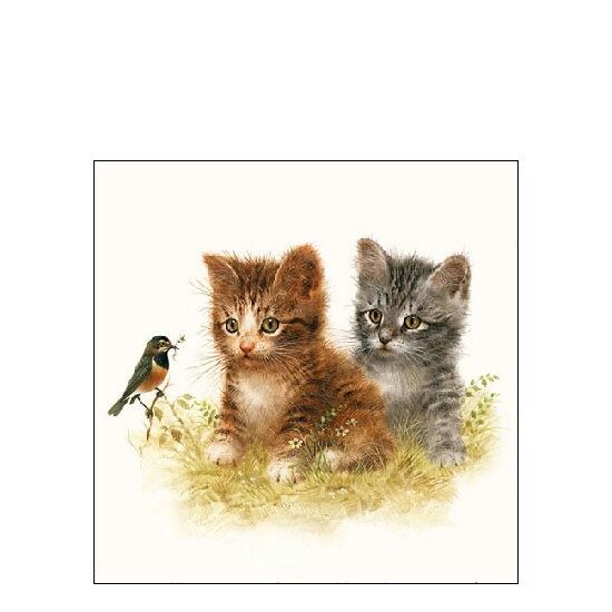 PAK44 - Pachet 20 servetele 25 x 25 cm - Ambiente - 12510170