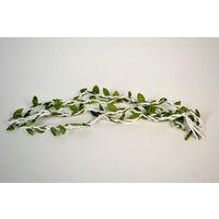 372296 - Cordon iuta cerata alba cu frunze verzi - 1m - ANT-CH