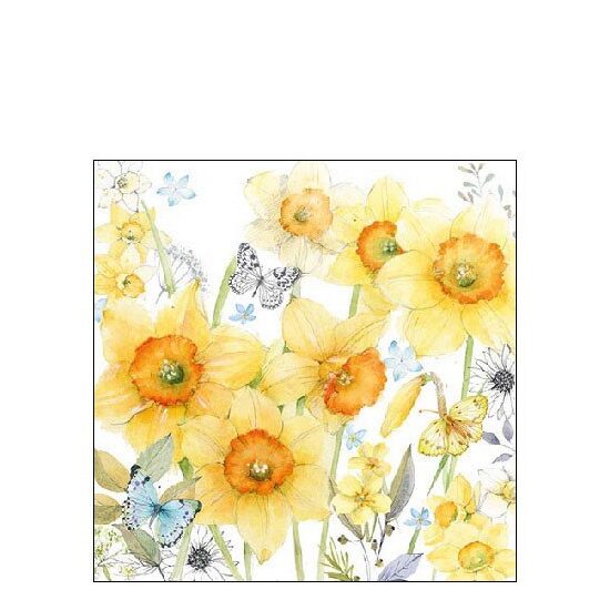 PAK444 - Pachet 20 servetele 25 x 25 cm - Ambiente - 12512690