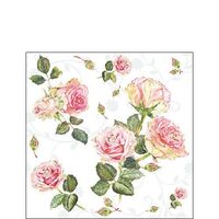 PAK187 - Pachet 20 servetele 25 x 25 cm - Ambiente - 12513000