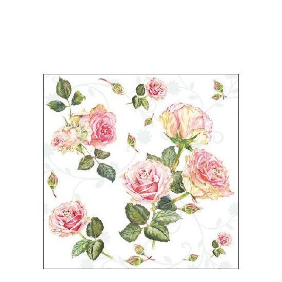 PAK187 - Pachet 20 servetele 25 x 25 cm - Ambiente - 12513000