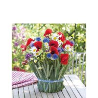 PAK85 - Pachet 20 servetele 25 x 25 cm - Ambiente - 12513240