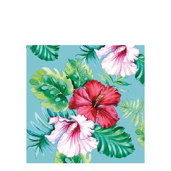 PAK143 - Pachet 20 servetele 25 x 25 cm - Ambiente - 12513146