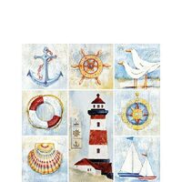 PAK63 - Pachet 20 servetele 25 x 25 cm - Ambiente - 12513080
