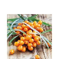 PAK336 - Pachet 20 servetele 25 x 25 cm - Ambiente - 12513090