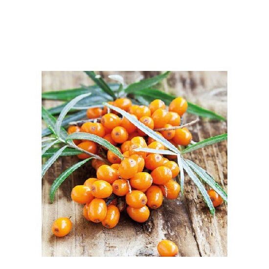 PAK336 - Pachet 20 servetele 25 x 25 cm - Ambiente - 12513090