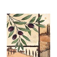 PAK432 - Pachet 20 servetele 25 x 25 cm - Ambiente - 12511765
