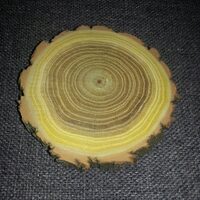 Blat rotund cu scoarta - diametru intre 10 si 13 cm - RIL