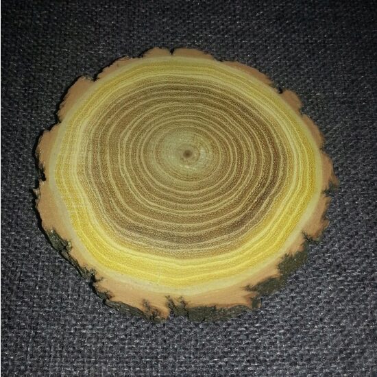 Blat rotund cu scoarta - diametru intre 10 si 13 cm - RIL