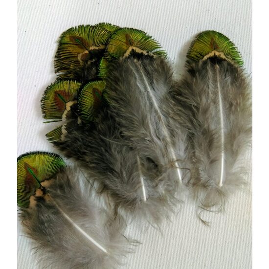 Set 10 pene de Paun naturale, 7-8cm - 357124