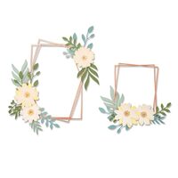 1 - 664377 - Set 12 cuttere Thinlits - Geo Floral frame - Sizzix