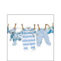 PAK105 - Pachet 20 servetele 25 x 25 cm - 12513985 - Ambiente