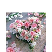 PAK149 - Pachet 20 servetele 25 x 25 cm - 12513015 - Ambiente