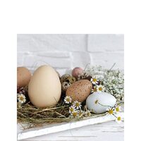 PAK140 - Pachet 20 servetele 25 x 25 cm - 22514290 - Ambiente