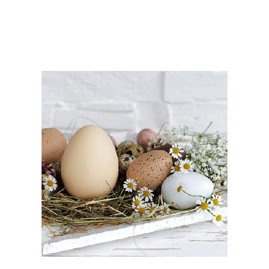 PAK140 - Pachet 20 servetele 25 x 25 cm - 22514290 - Ambiente
