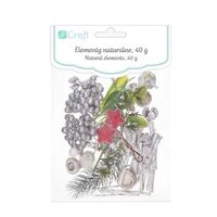 DPZA-055 - Set 40g elemente decorative - DP CRAFT