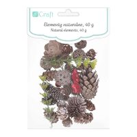 DPZA-056 - Set 50g elemente decorative naturale - DP CRAFT