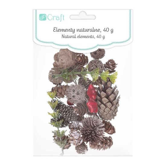 DPZA-056 - Set 50g elemente decorative naturale - DP CRAFT