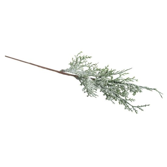 RY-55914000 - Crenguta tuia decorativa - DP CRAFT