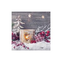 PAK248 - 32511950 - Set 20 servetele 25 x 25 cm - Birch candlelight - Ambiente