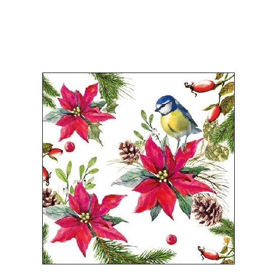 PAK80 - 32514640 - Set 20 servetele 25 x 25 cm - Bird On Poinsettia White - Ambiente