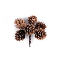 790533 - Set 6 conuri decorative - STKL