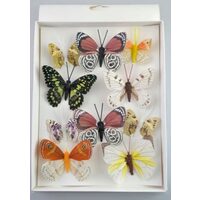 375137 Set 10 fluturasi decorativi - ANT-CH