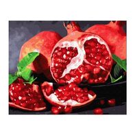 GX32215 Set pictura pe numere Juicy Pomegranate - P-ART