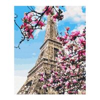 GX32320 Set pictura pe numere Magnolia blossom in Paris - P-ART