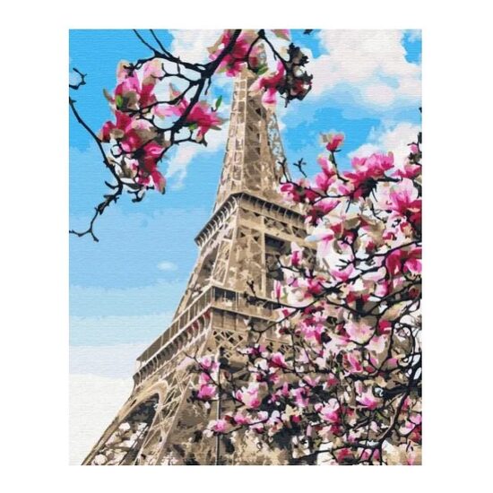 GX32320 Set pictura pe numere Magnolia blossom in Paris - P-ART